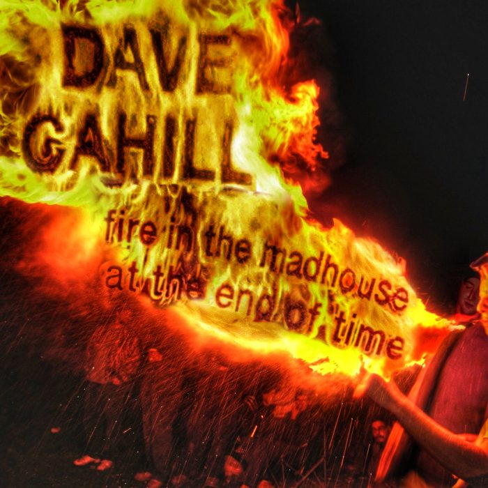 Dave Cahill - Fire in the Madhouse at the End of Time